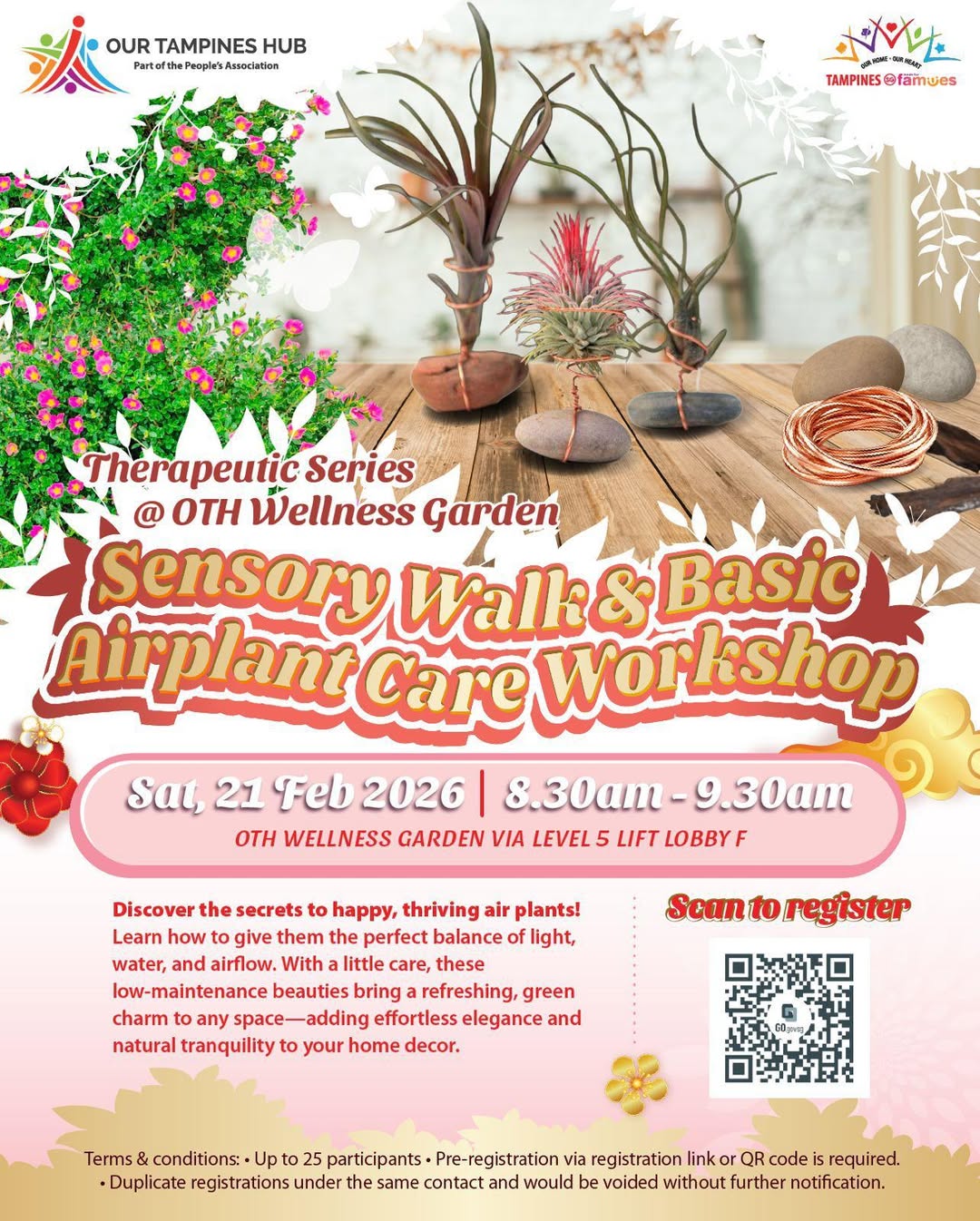 A collection of vibrant air plants arranged in a serene indoor setting