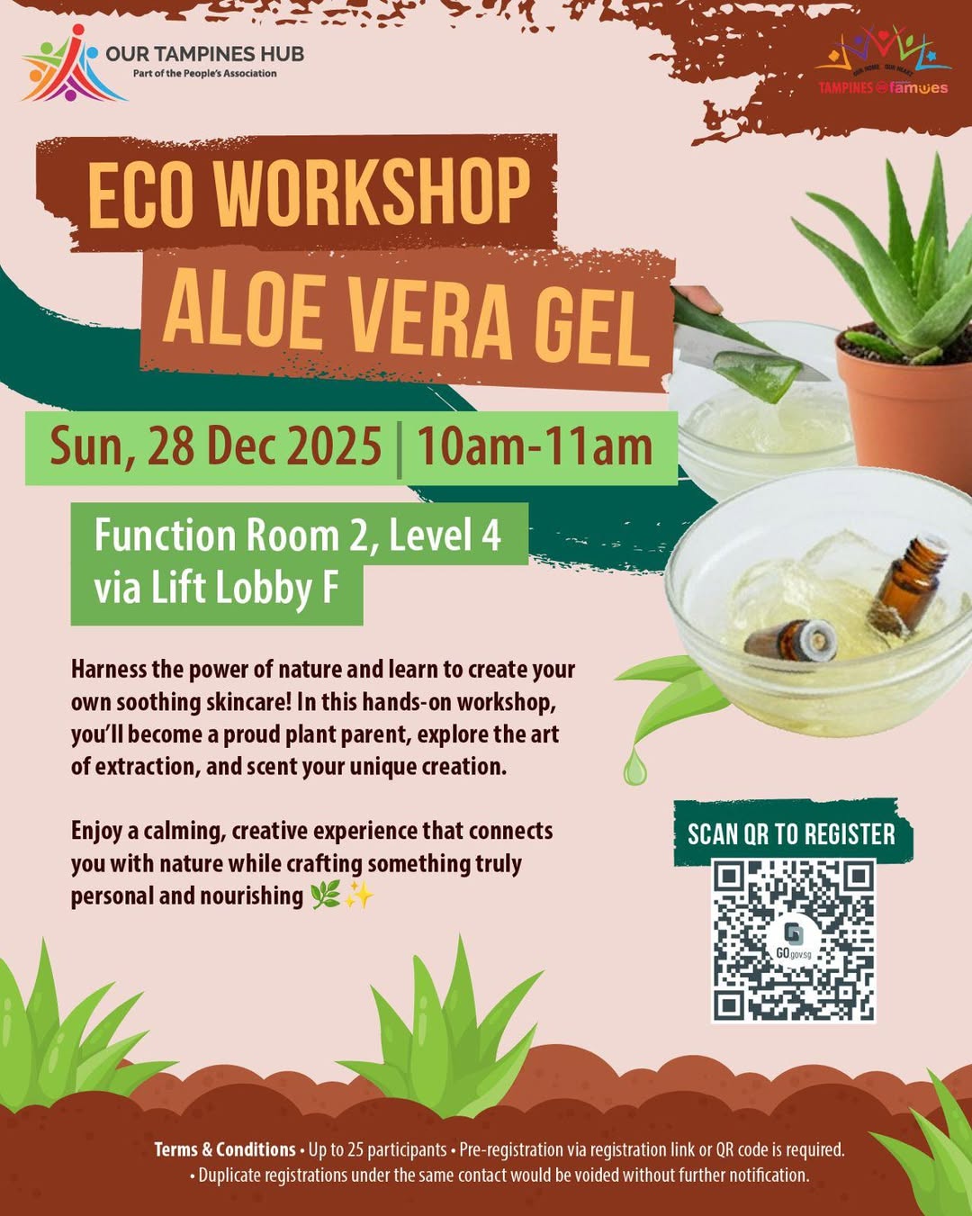 Natural skincare ingredients and tools for a workshop