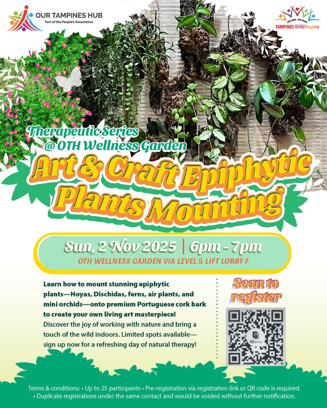 A collection of mounted epiphytic plants, including orchids, ferns, and Hoyas, displayed on cork bark.