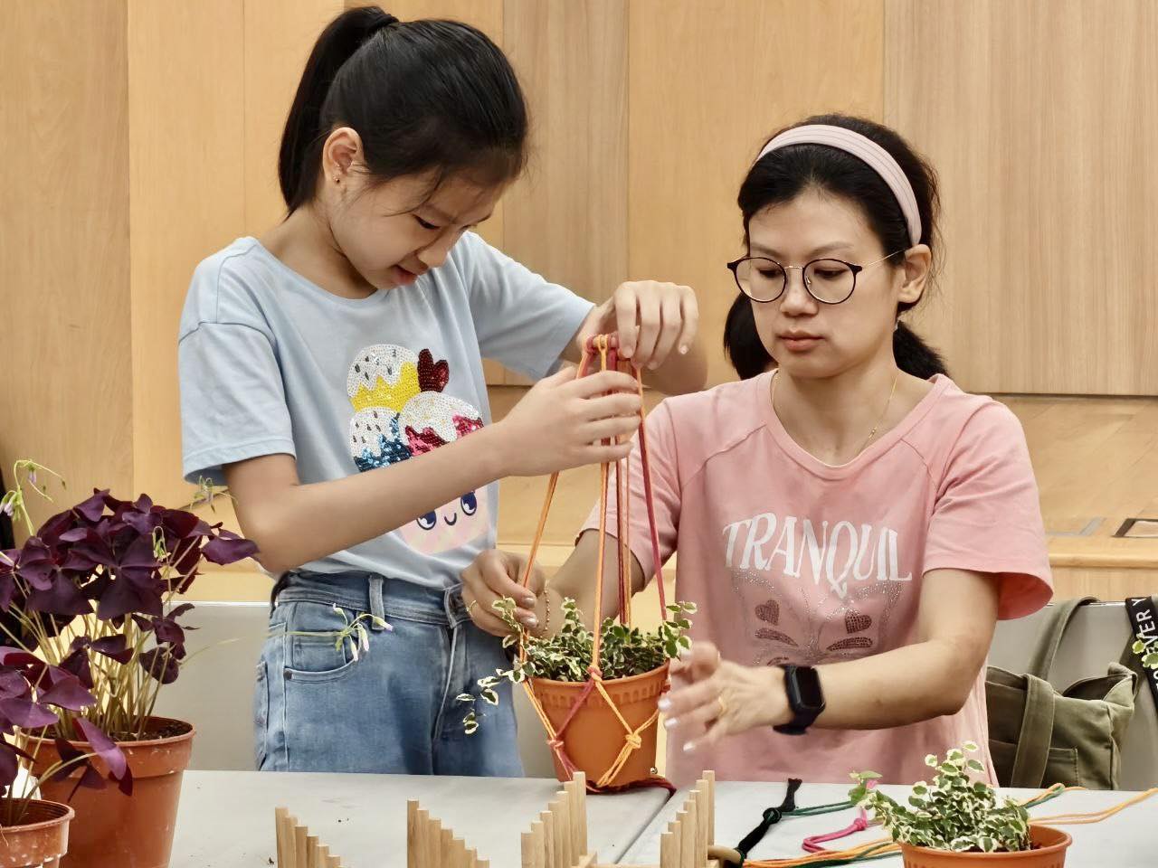A finished macrame plant hanger adding charm to a home setting