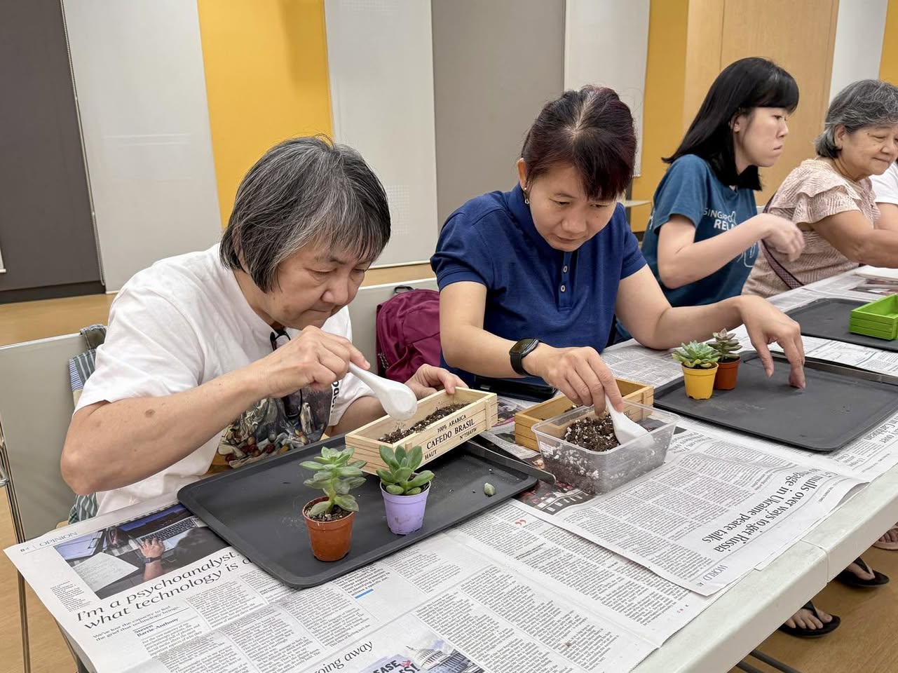 Participants designing succulent arrangements