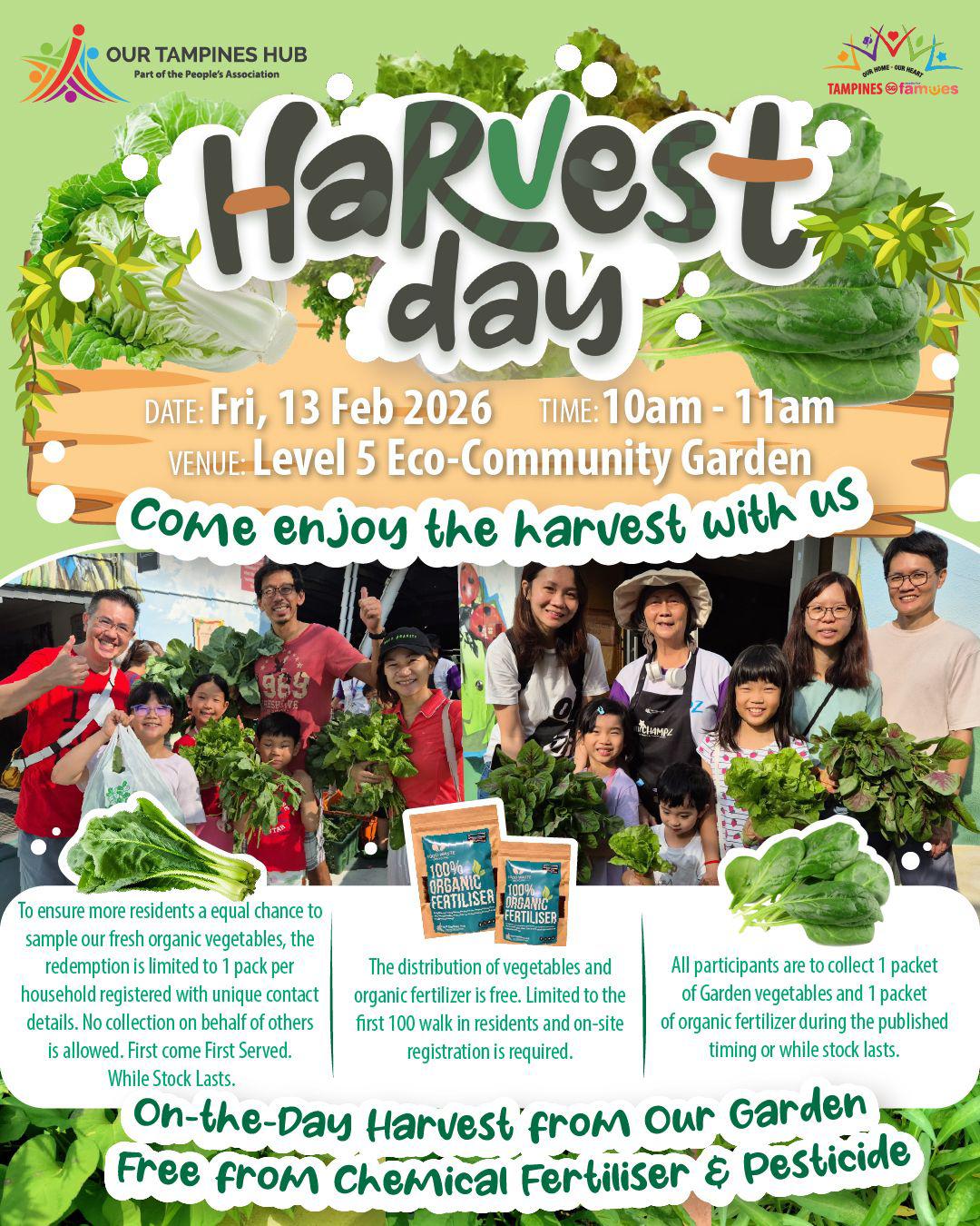 Fresh organic vegetables at the Our Tampines Hub Eco-Community Garden