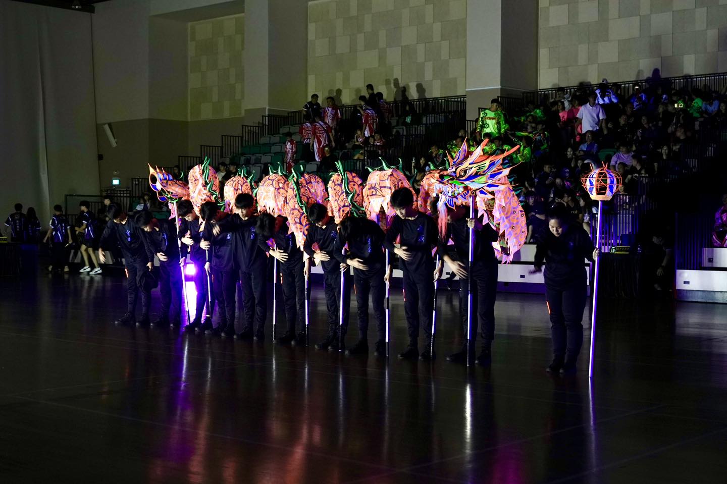 Spectacular Luminous Dragon Dance performance