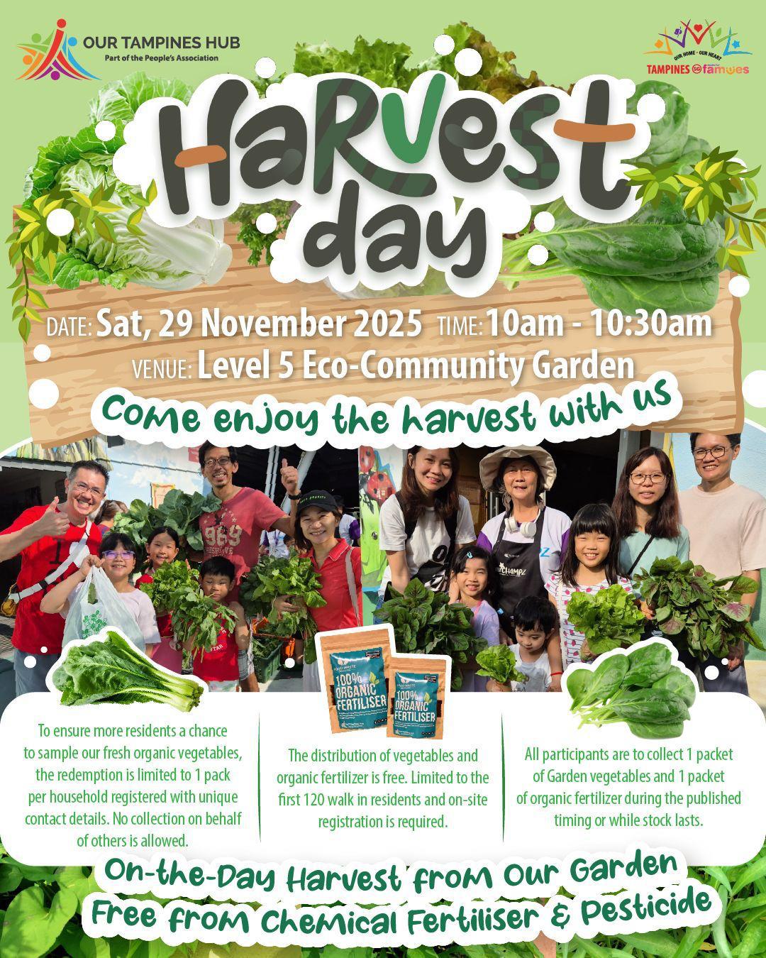 Freshly harvested organic vegetables from a community garden