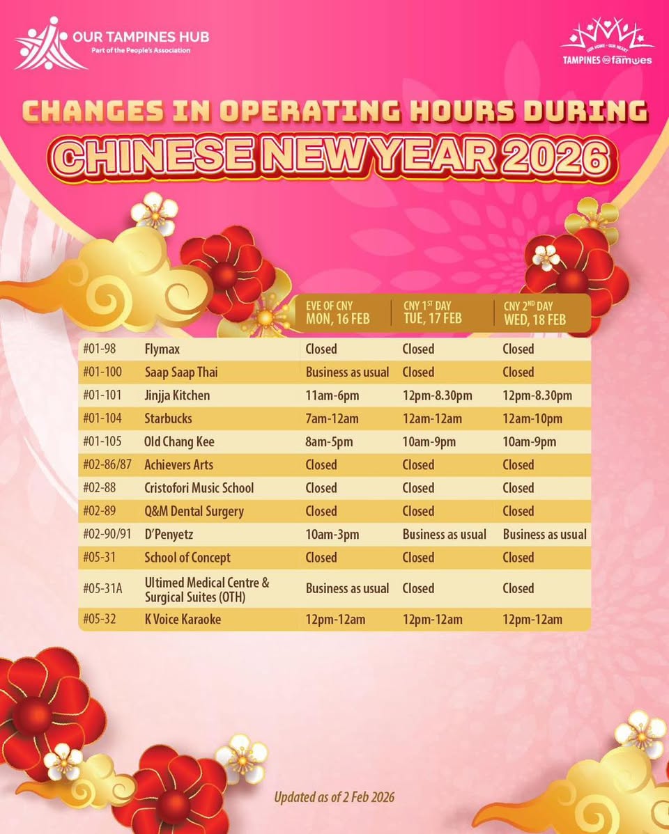 Holiday crowds at Festive Mall