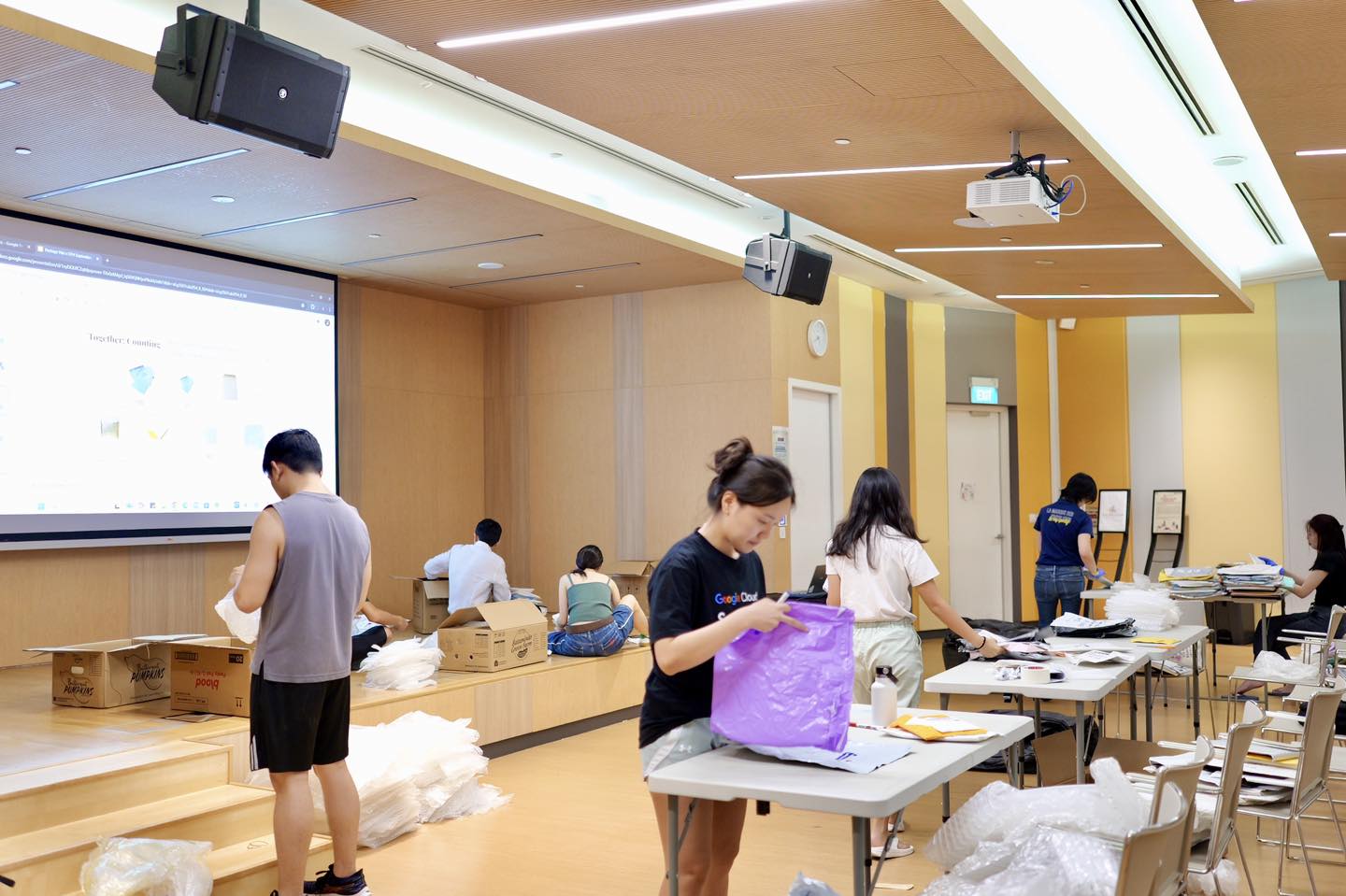 The successful outcome of the sorting session, showcasing organized materials.