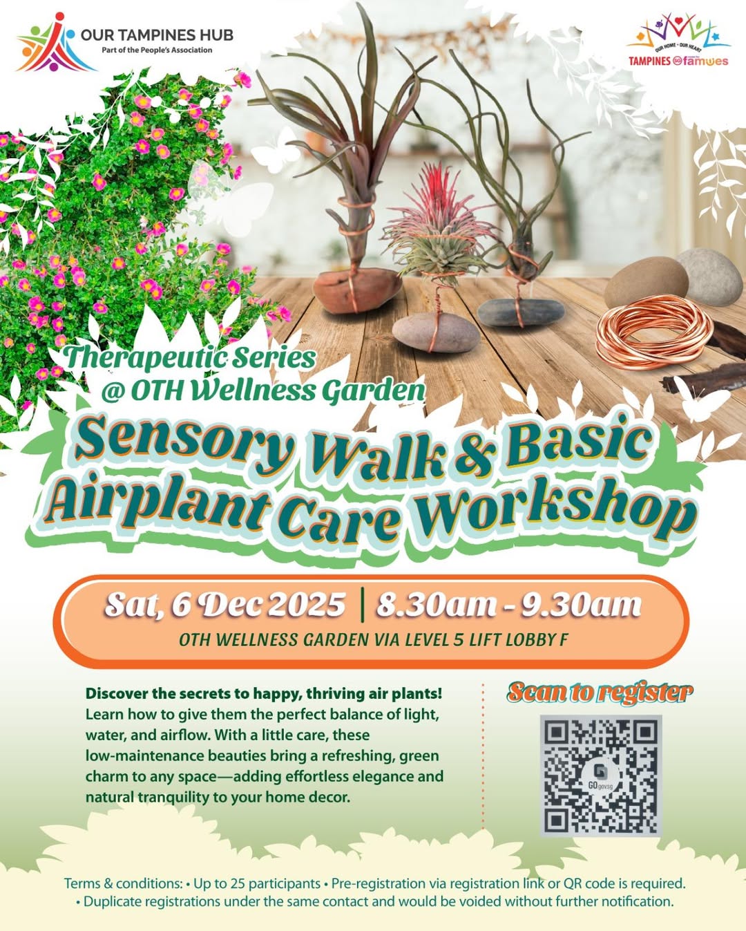 A vibrant air plant displayed in a modern setting