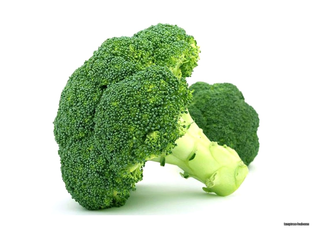 Two heads of fresh green broccoli are displayed on a white background.