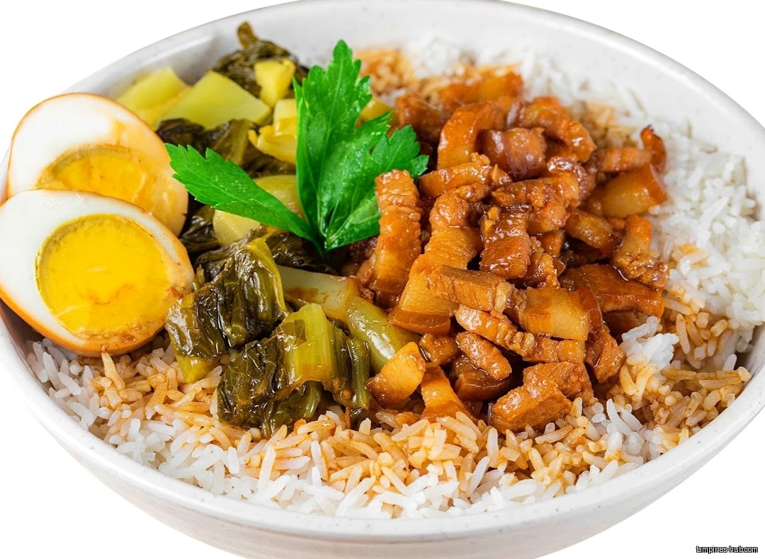A bowl of rice with braised pork, egg, and vegetables.