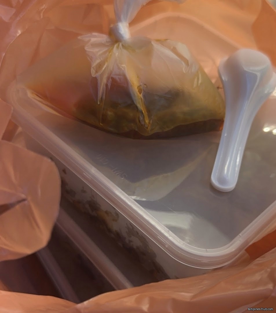 A plastic bag contains a food container, a bag of sauce, and a spoon.