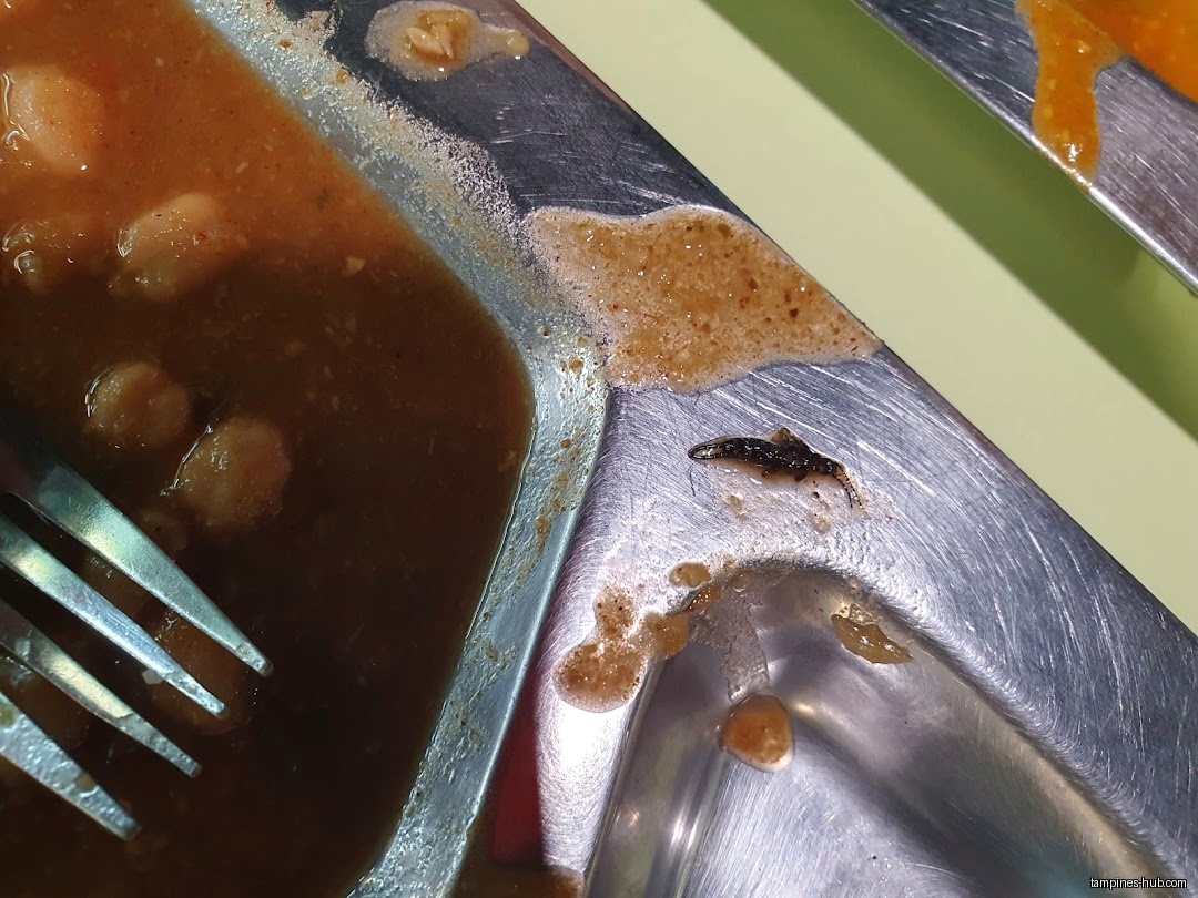 A metal tray with food remnants and a dead insect on it.