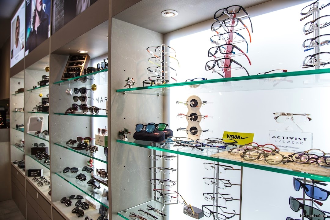 Shelves display a variety of eyeglasses and sunglasses in a retail store.