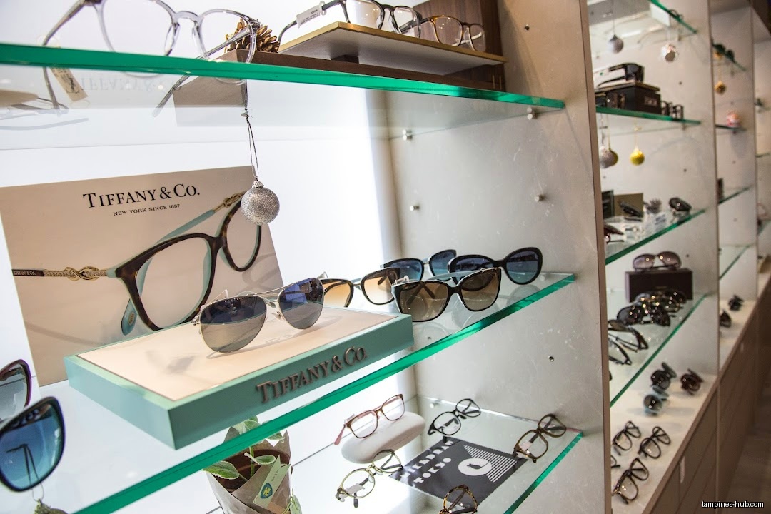 Glasses and sunglasses are displayed on glass shelves in a retail shop.