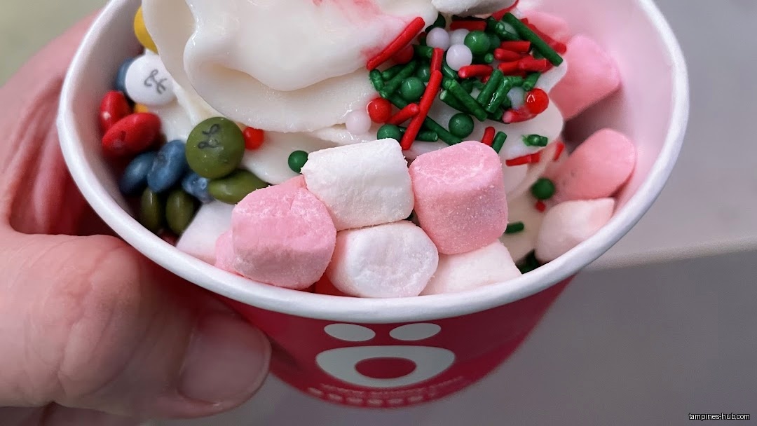 A cup of smöoy frozen yogurt with marshmallows and candy toppings.