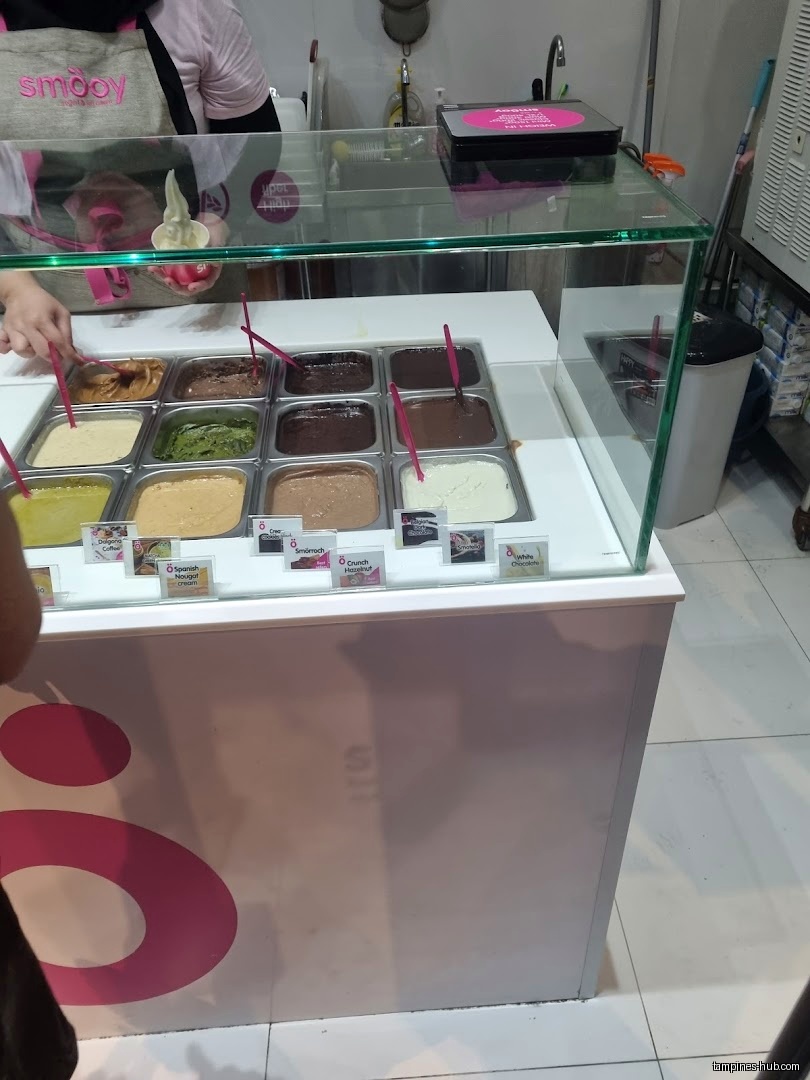 A display case with various flavors of frozen yogurt at Smöoy.