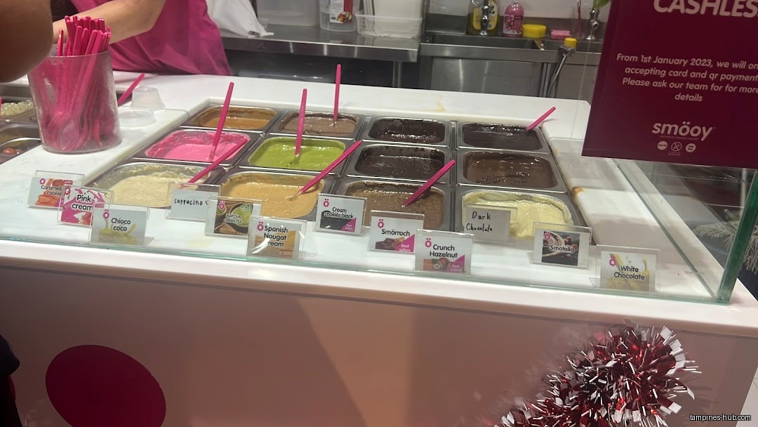 A display case of various flavors of frozen yogurt at smöoy.