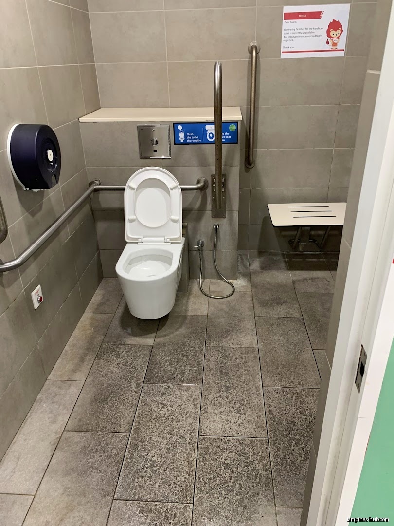 The image shows a accessible toilet with grab bars and a seat.