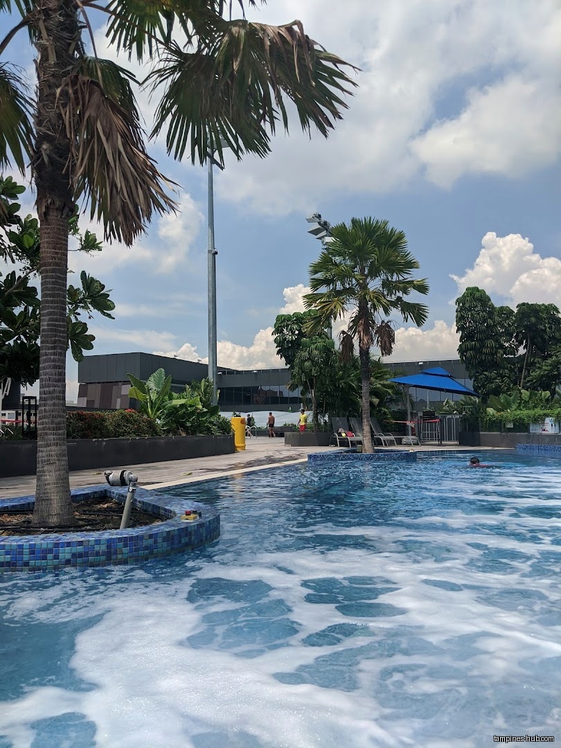 A swimming pool with palm trees at Tampines ActiveSG Swimming Complex.