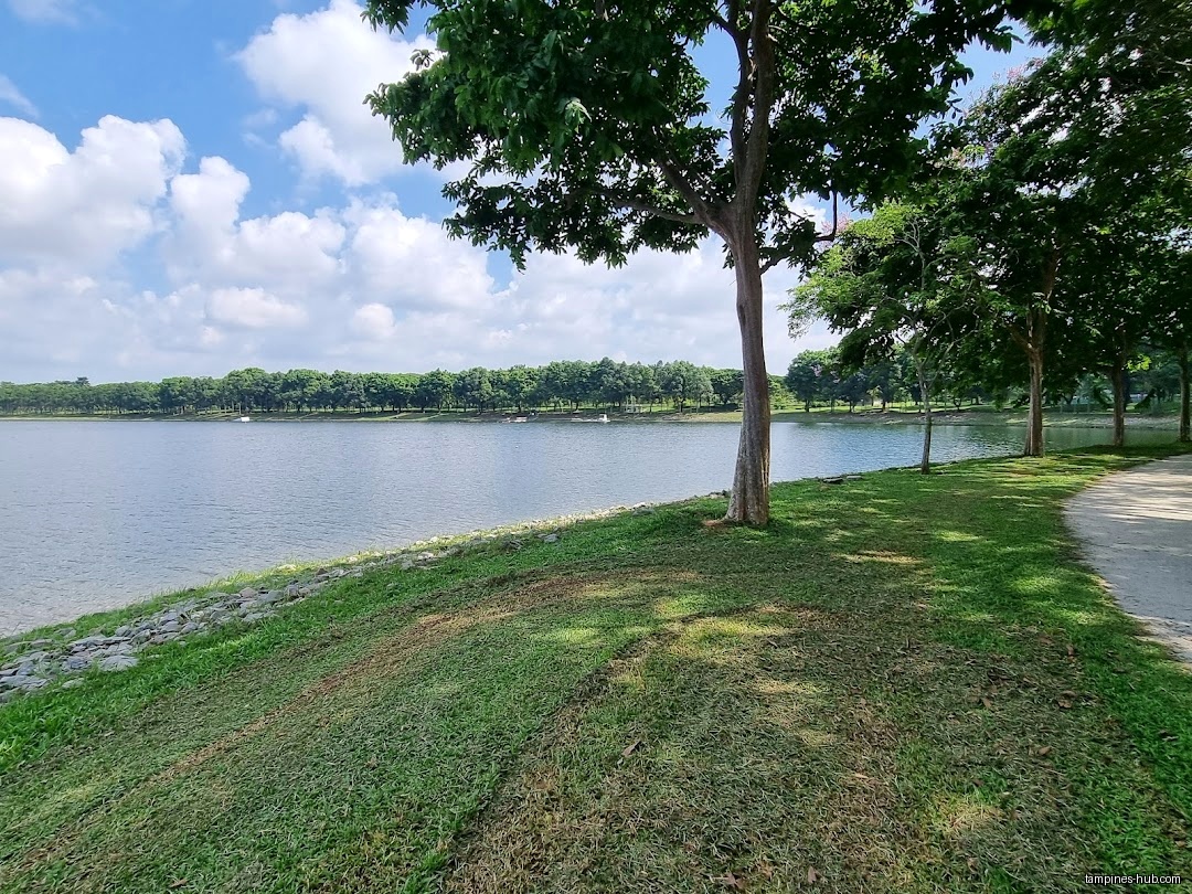 The image shows a lake with trees and a grassy area.