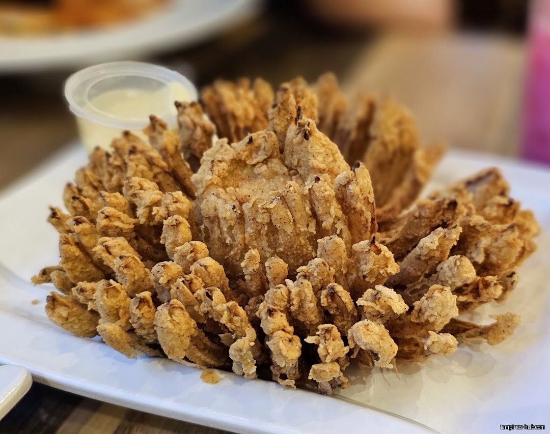 A blooming onion appetizer with dipping sauce on a white plate.