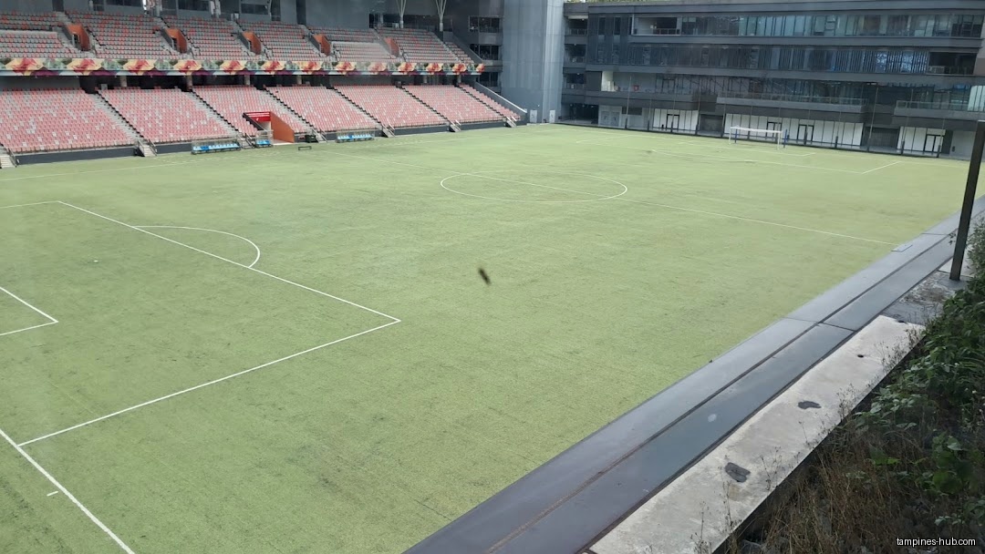 The image shows a large, empty soccer field with stadium seating.