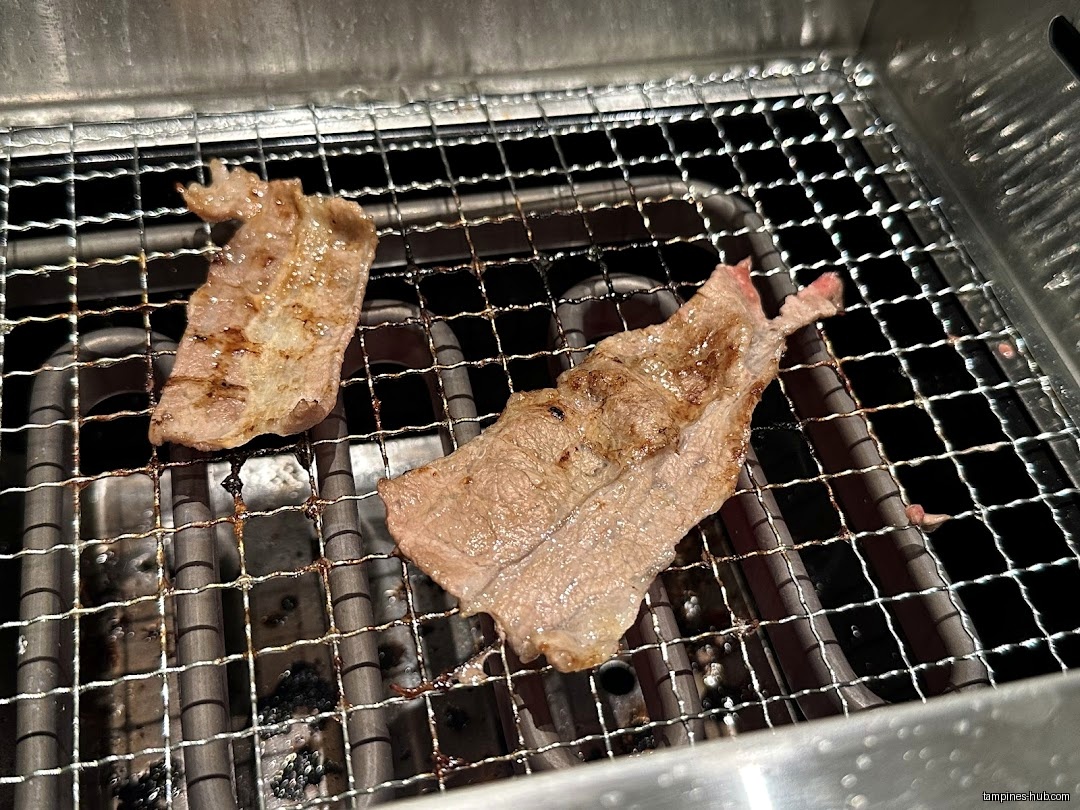 Two pieces of meat are grilling on a metal grate.
