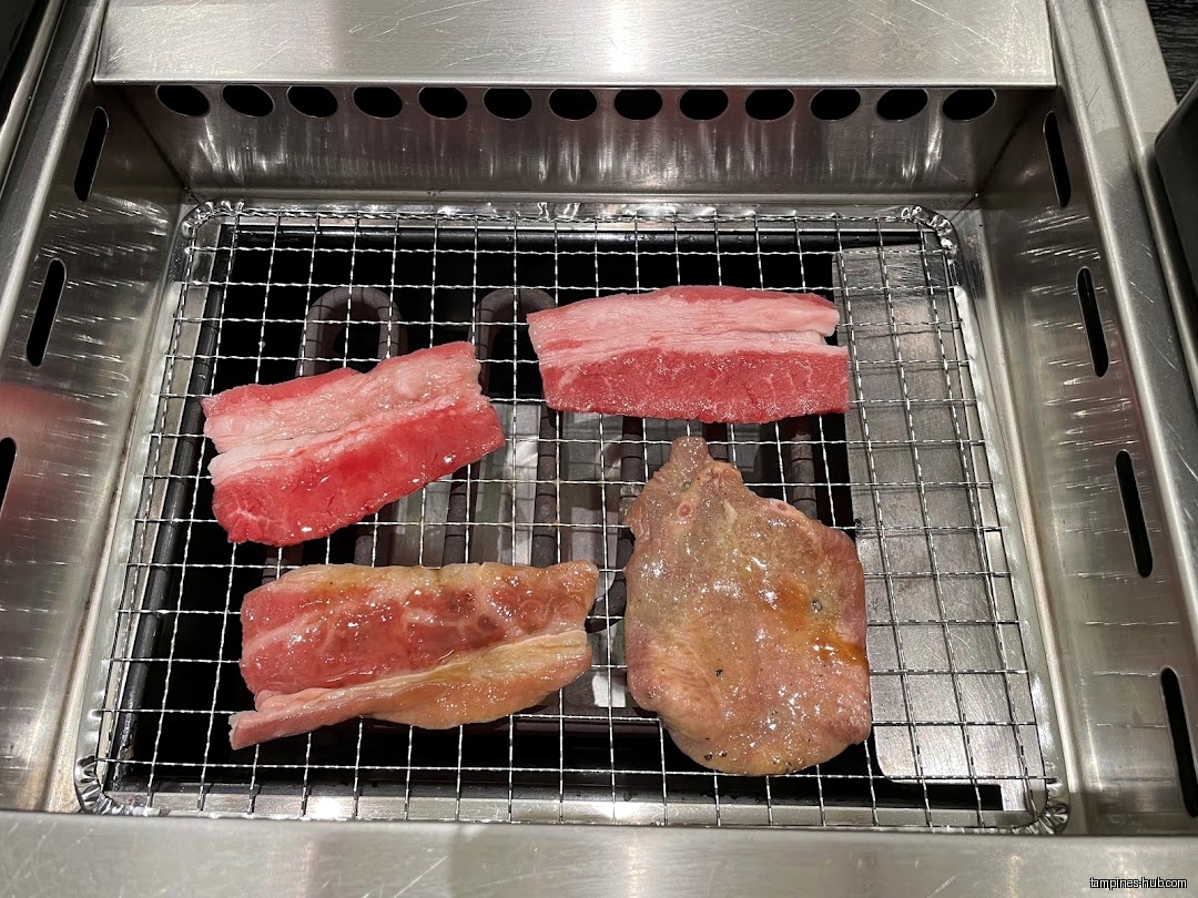 Four pieces of raw meat are on a grill, ready to be cooked.